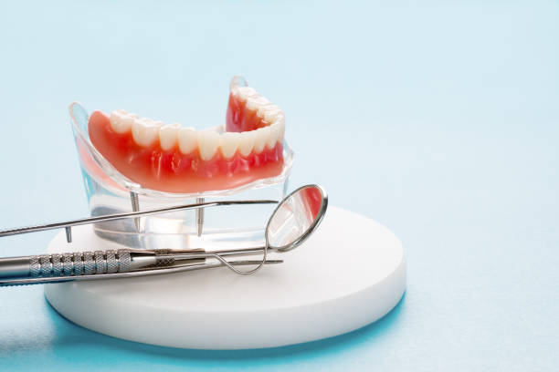 Professional  Holistic Dental Services in North Falmouth, MA